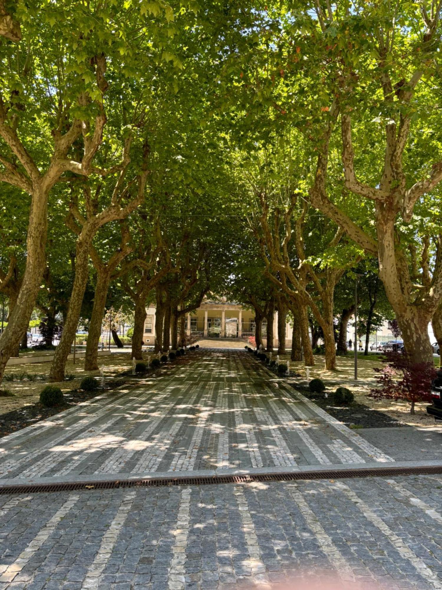 Aconchego Home Caldas de Sao Jorge Екстер'єр фото